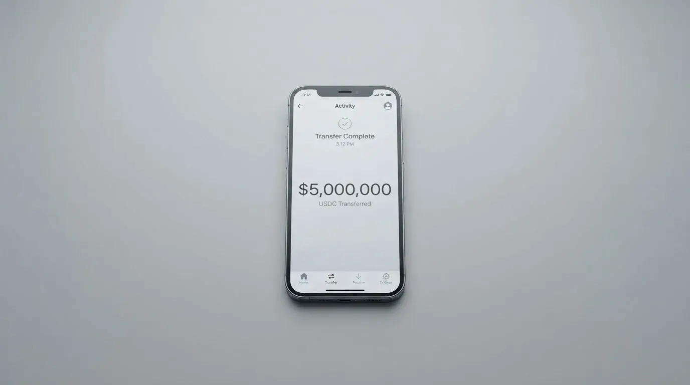A phone showing a stablecoin transfer screen